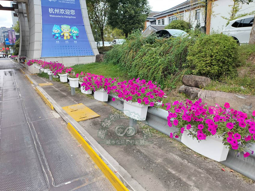 杭州高速入口波形护栏马鞍花盆案例