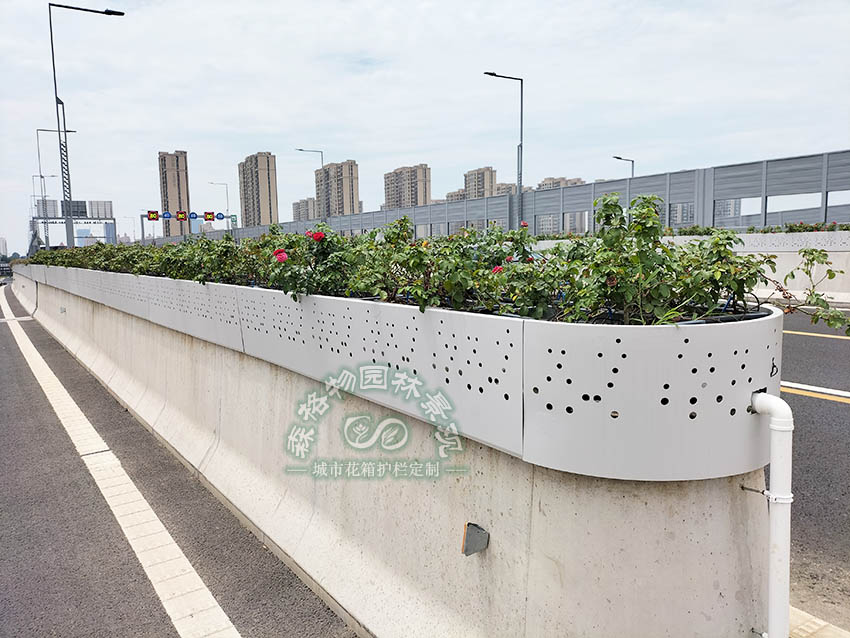 江苏苏州快速路桥梁花箱绿化花槽工程案例