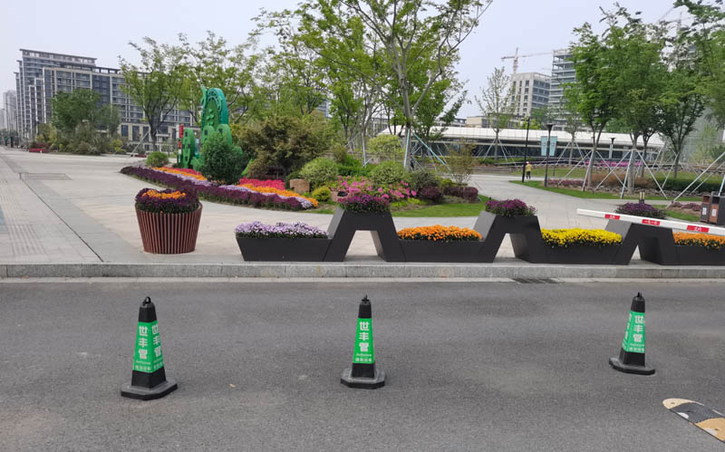 花箱如何栽植花卉？花箱栽植什么花卉