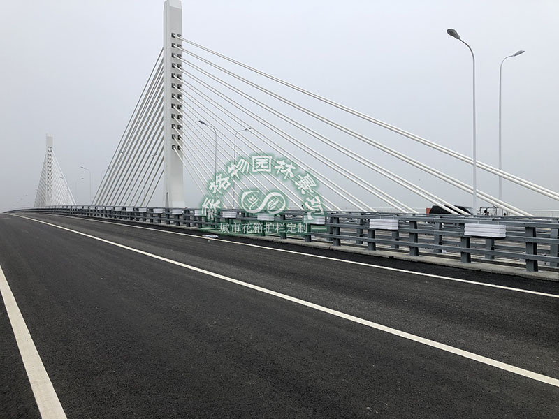 安徽滁州 2公里桥梁花箱