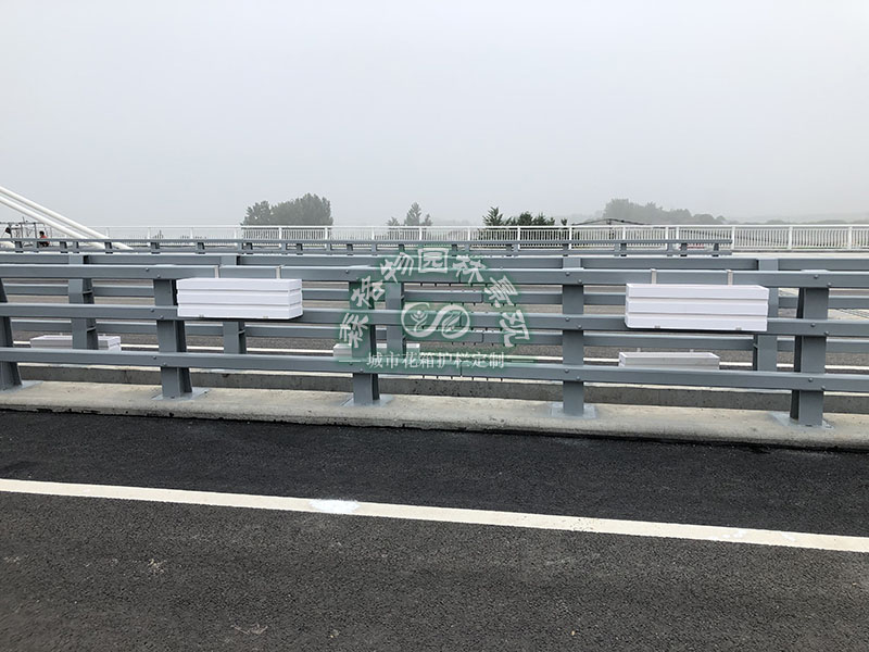安徽滁州 2公里桥梁花箱