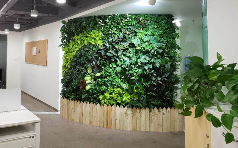 室内生态植物墙带你回归自然