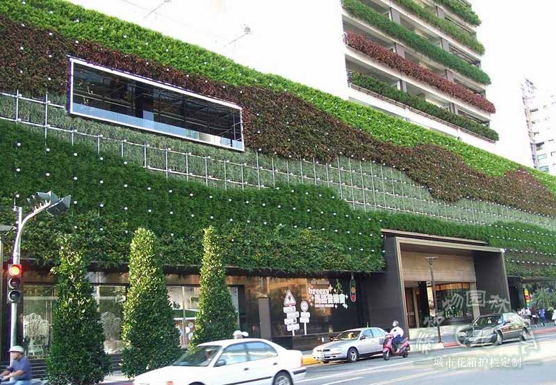 墙体垂直绿化植物的作用