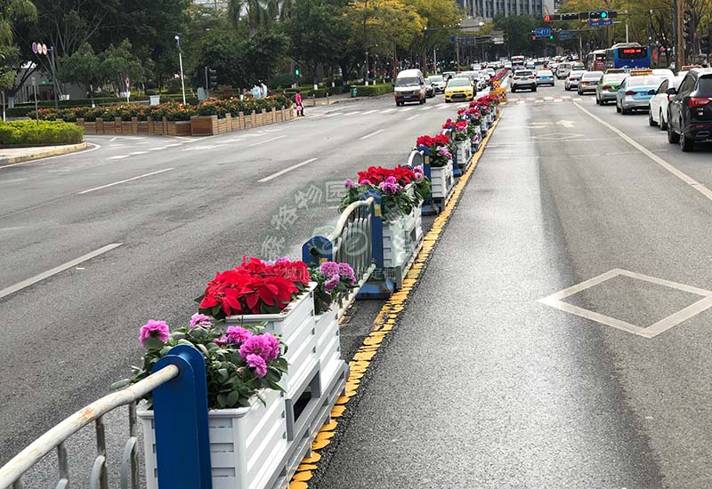 道路花箱护栏绿化在美化城市中的作用