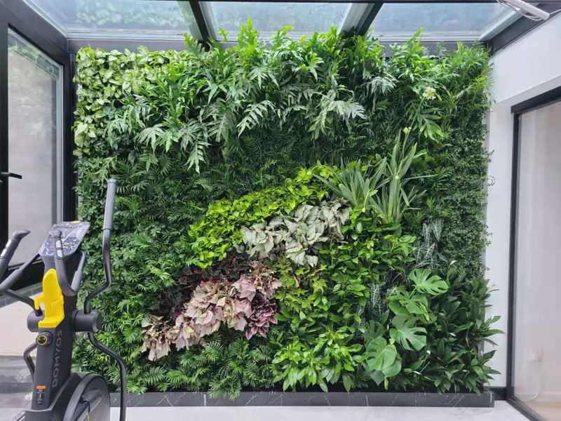 垂直绿化成为新时尚：家庭植物墙